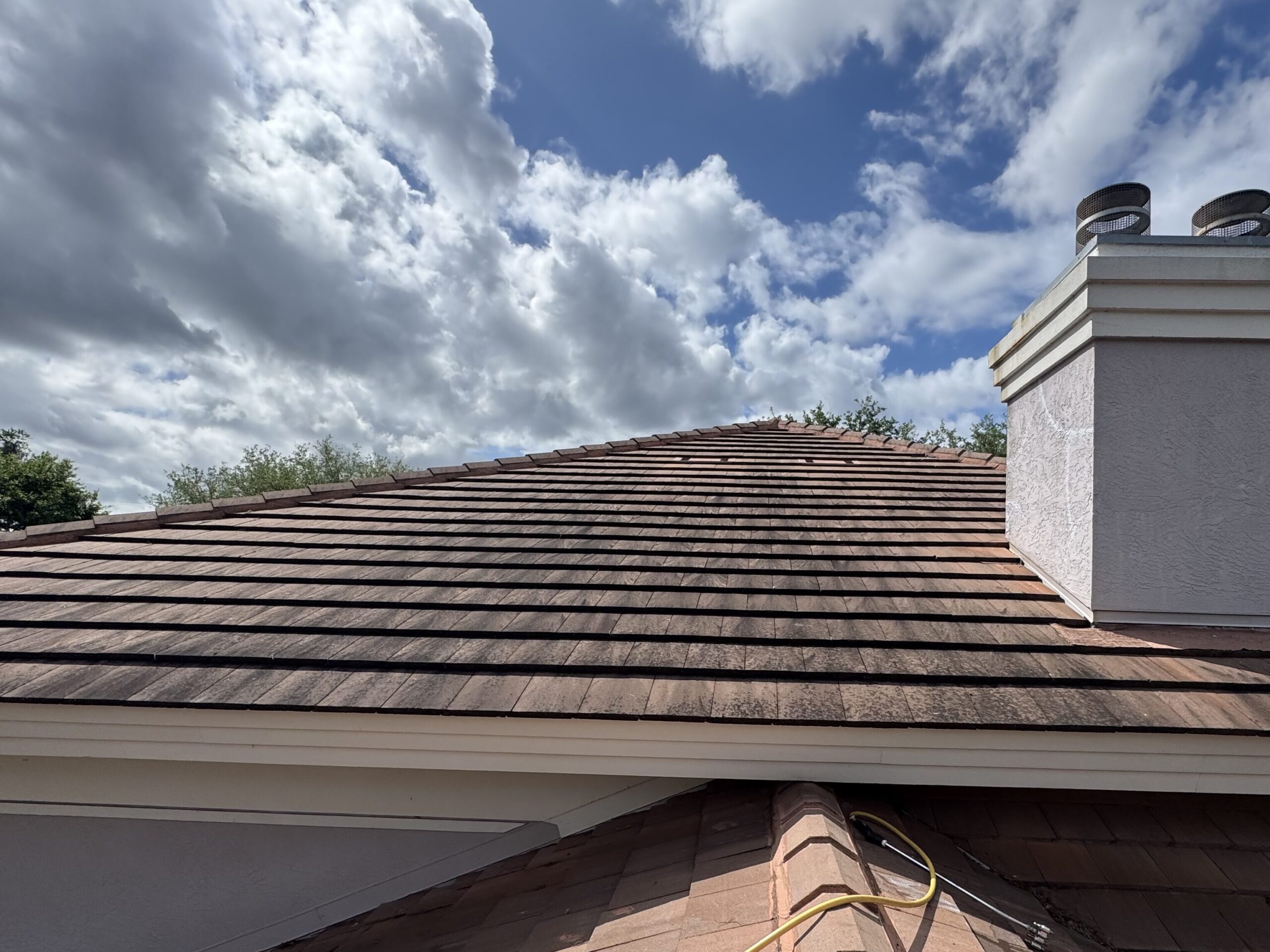 black algae on a tile roof