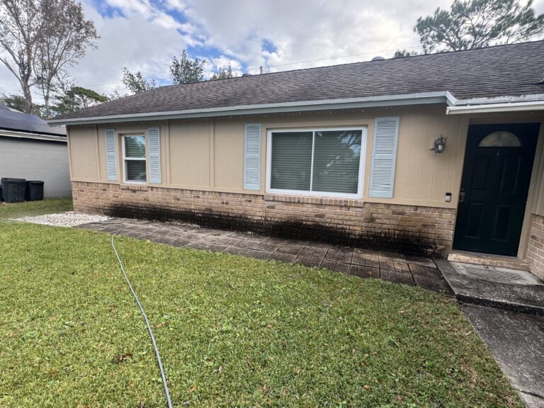 Brick siding of a home covered in black mold or algae